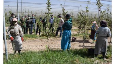 Photo of محاربة كورونا في صفوف العاملين في مزارع التفاح بميدلت