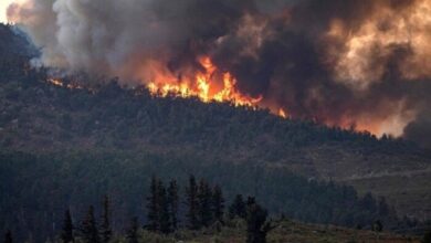 Photo of تاونات…. حرائق الغابات تخلف ضحية وعدد من الخسائر المادية وترحيل السكان