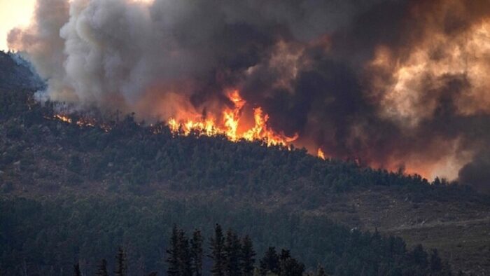 توقيف أربعة أشخاص اشعلوا النيران عمدا بغابة “كدية الطيفور” بالمضيق