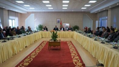 Photo of مجلس جهة فاس مكناس يعقد جلسة ترابية لإعداد برنامج التنمية الجهوية بعمالة إقليم إفران .