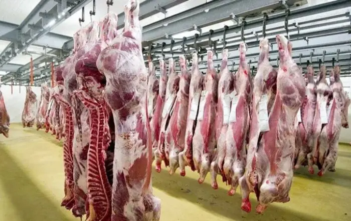 جدل حول تعليق واردات اللحوم الحمراء المجمدة بالمغرب وسط ارتفاع الأسعار قبيل رمضان
