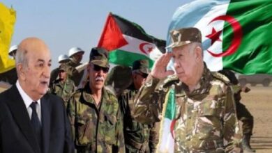 الجزائر والبوليساريو... سقوط أسطورة وهمية عمرها ستة عقود