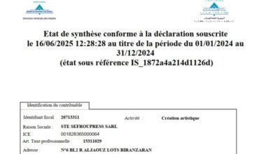 البيان الإجمالي الختامي للقوائم التركيبية التحليلية لسنة 2024 لشركة صفروبريس