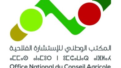 المديرية الجهوية للاستشارة الفلاحية لجهة الشرق تشارك في فعاليات الدورة الحادية عشرة للمعرض الجهوي للمنتوجات المجالية بالسعيدية